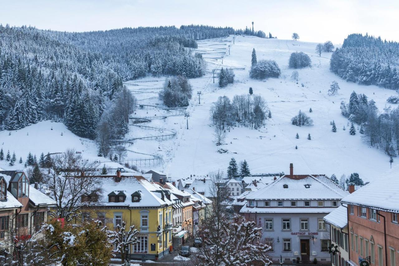 Ferienhotel Schwarzwaelder Hof フェルトベルク エクステリア 写真